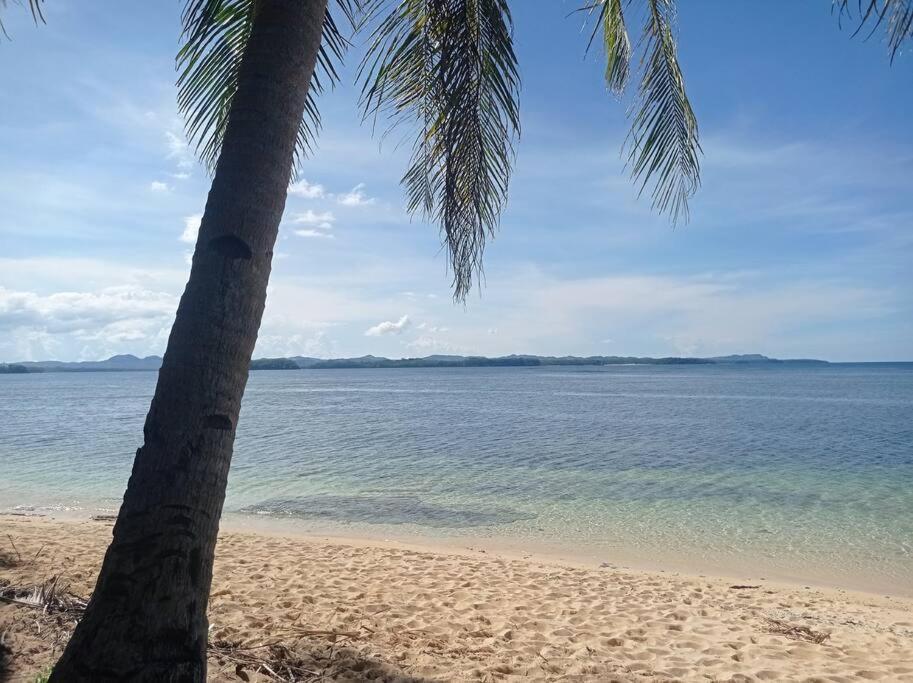 The Bamboo Houses - Tropical Garden & Empty Beach General Luna  Buitenkant foto